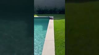 Pool Cleaning Austin Multipoint Inspection 716 WG [upl. by Ahsyekat]