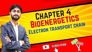 Electron Transport Chain Lecture 6 MDCAT 2024 [upl. by Ilellan]