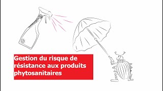 Gestion du risque de résistance aux produits phytosanitaires [upl. by Girvin]