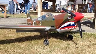 Curtiss P40 Warhawk Flying Tiger WWII Warbird RC Plane at Warbirds Over Whatcom [upl. by Ydnik294]