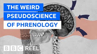 Phrenology The weirdest pseudoscience of them all  BBC REEL [upl. by Nedla]