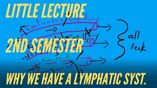 Little Lecture for 2nd Semester Why We Have a Lymphatic System [upl. by Maiocco]