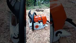 Stihl ms 661c amp Husqvarna 592xp [upl. by Alikam]