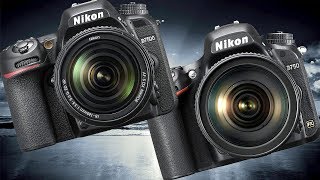 Nikon D750 vs Nikon D7500 High ISO Performance [upl. by Somisareg471]