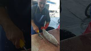 Filleting small grouper in the beginners way fishcutting [upl. by Kcirtemed]