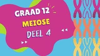 Meiose DEEL 4 [upl. by Nosyt]