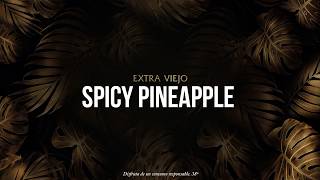 Cóctel Ron Brugal Extra Viejo  Spicy Pineapple [upl. by Havstad]