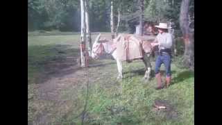 Burro Packing at Philmont Scout Ranch ✔️ [upl. by Alarise]