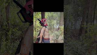 Pochita Chainsaw Man Vs Chucky IT pennywise Freddy Krueger pochita chainsawman 3dsingh [upl. by Arrahs]