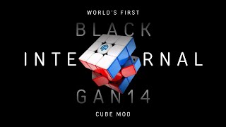 We Made the Worlds First BLACK INTERNAL GAN14 [upl. by Nohs]