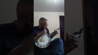 Conselho  Almir Guineto banjo [upl. by Eserahc]