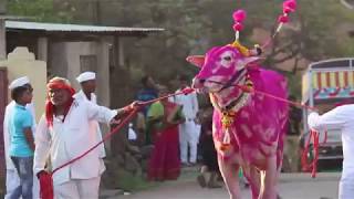 bagad satara mardhe yatra 2018 [upl. by Hwu731]