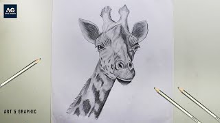 How to Draw a realistic Giraffe Face  Easy Pencil Drawing [upl. by Eenej]