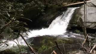 Teds Falls Bearwallow Creek Gorges State Park NC [upl. by Ernest864]