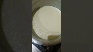 Milk Boiling Time Healthy food [upl. by Vinson952]