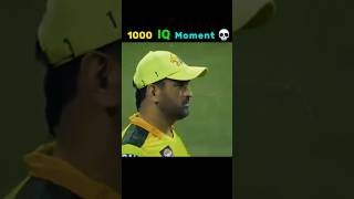 Cricket ke 1000 IQ moments part 3 shorts [upl. by Dippold]