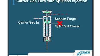 Gas ChromatographyMass Spectrometry GCMS Principles amp Techniques [upl. by Kcin759]