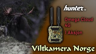 VILTKAMERA I AKSJON  Hunter Omega Cloud 4G [upl. by Nwahsat]