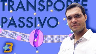 Transporte passivo mais biologia com Roger Maia [upl. by Samuel]