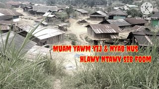 Muam yawm yij amp nyab nus sib foom 12112024 [upl. by Nolahc]