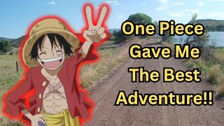 One Piece said to go on more adventuresso I did [upl. by Chaffinch604]