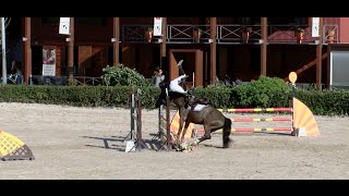 Horse jump fail compilation  SLaudiovisual 2015 [upl. by Tybie]