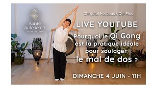 POURQUOI LE QI GONG EST LA PRATIQUE IDÉALE POUR SOULAGER LE MAL DE DOS [upl. by Atiekan]