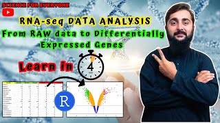 How to find DEGs from RNAseq Gene Expression Data in 4 minutes using Rstudio [upl. by Vanna293]