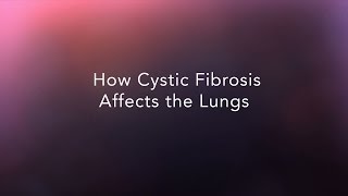 How Cystic Fibrosis Affects the Lungs [upl. by Akimehs]