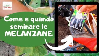 Come e Quando SEMINARE LE MELANZANE [upl. by Pope]