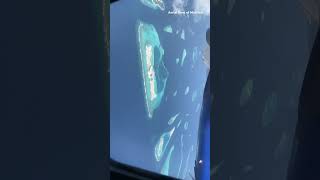 Aerial View of Maldives Islands from planetelugu telugutravelvideos telugutravelvlogger maldives [upl. by Dunning]