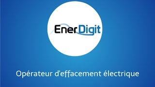 Le marché de lélectricité  qui sont les acteurs et quelle est la place dEnerdigit [upl. by Refinnaej119]