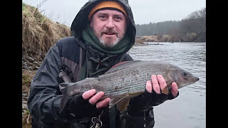 NEARLY SCOTTISH RECORD  3lb 10oz Grayling  ARGHHHHHHH [upl. by Ariaic]