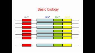 Genome Annotation [upl. by Stella147]