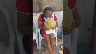 Refreshing Coconut Jelly Water short shortvideo subscribers jamaica [upl. by Raddy]