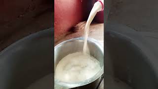 Milk Boiling ASMR [upl. by Akiehs635]