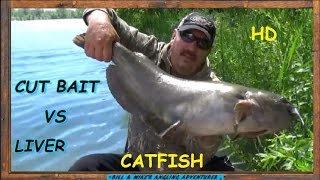 CUT BAIT VS CHICKEN LIVER CATFISH BAIT CHALLENGE [upl. by Adnihc]