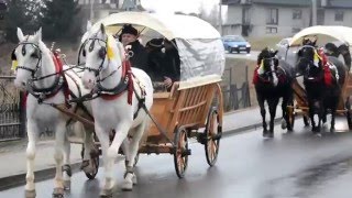 Podhalański etap pielgrzymki konnej z Krakowa do Rzymu 2016 [upl. by Angell]