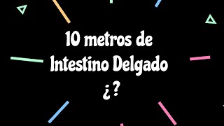 10 metros de Intestino  Te imaginas ¿ [upl. by Ongun375]