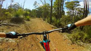 WA Jarrahdale Yellow Brick Road [upl. by Schou]