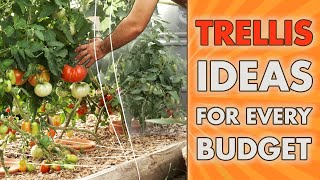 VERTICAL GARDENING IDEAS  for Every BUDGET [upl. by Kenlay]