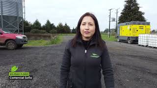 Testimonio Soledad Flores de Comercial Soflo  Programa Agro Escala [upl. by Ardnassac]