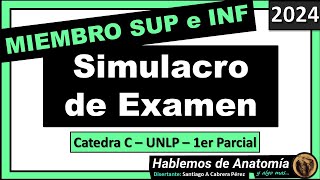 🔴👉SIMULACRO DE EXAMEN  MIEMBRO SUPERIOR Y MIEMBRO INFERIOR 🟪 ANATOMIA C  2024 [upl. by Behlau]