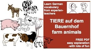 German Vocabulary Animals on the farm  Bauernhof  Bauernhoftiere [upl. by Hermon983]