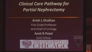 Dr Arieh Shalhav Clinical Care Pathway for Partial Nephrectomy [upl. by Nired]