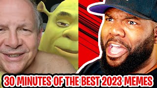 30 minutes of The FUNNIEST Try Not To Laugh Memes of 2023 REACTION [upl. by Nwahsak]