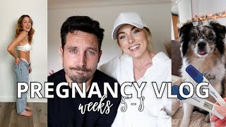 Pregnancy Vlog Wk 5 8  Bump Update Scheduling Doctors Appts amp Thanksgiving [upl. by Cornelie]