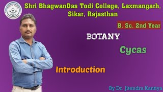 B Sc 2nd Year  Botany  Intro of Cycas  Dr Jitendra Kantiya  Shri BhagwanDas Todi College [upl. by Adnawaj]