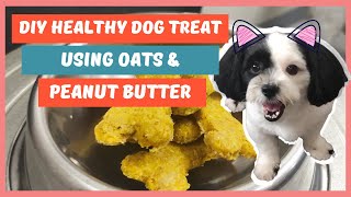 DIY HEALTHY DOG TREAT USING OATS amp PEANUT BUTTER [upl. by Neelloc702]