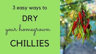 How to dry chillies  three easy ways [upl. by Initof]